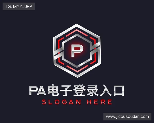 了解PA电子平台